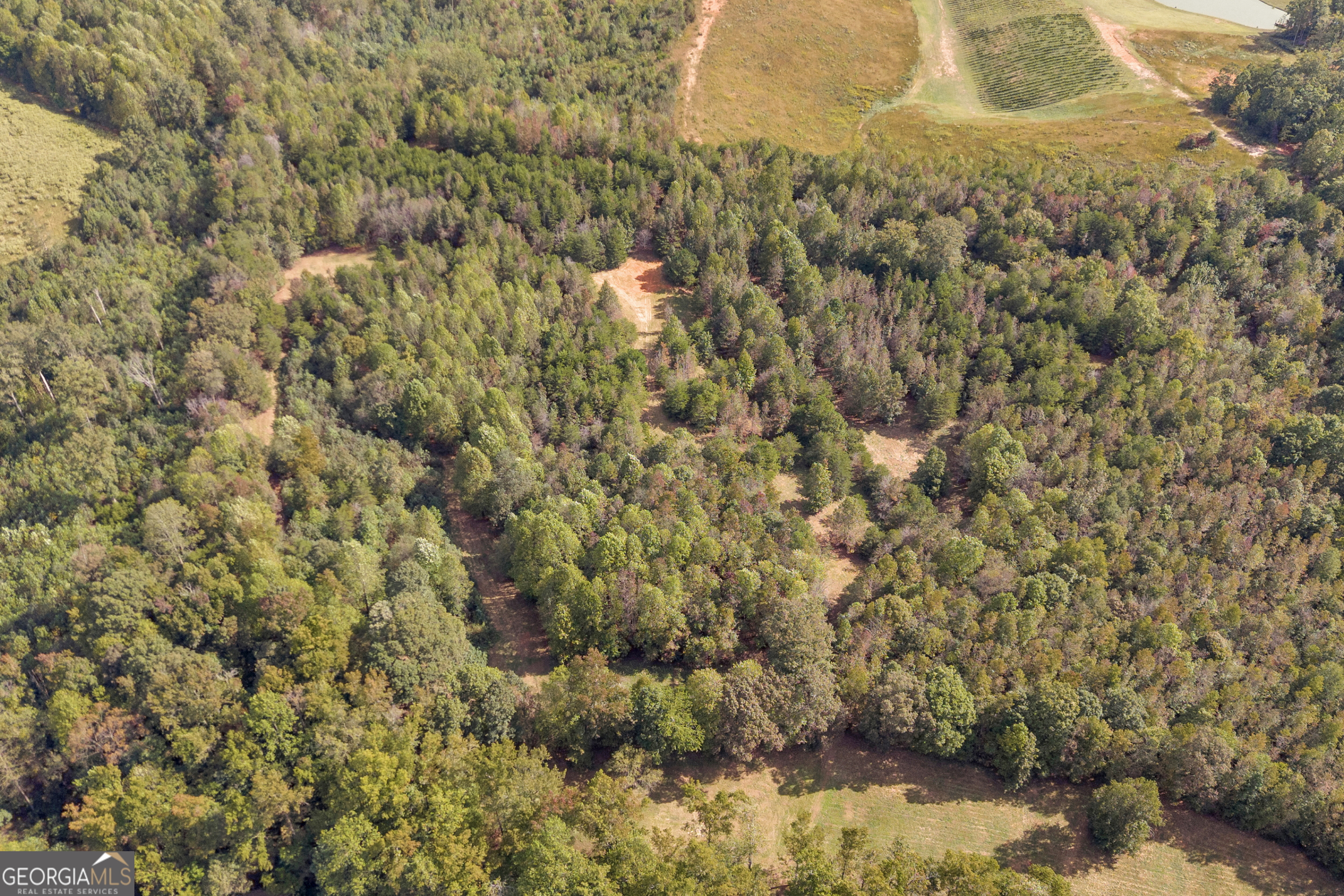 438 Turner Road Cleveland, GA 30528 - Photo 80 of 118