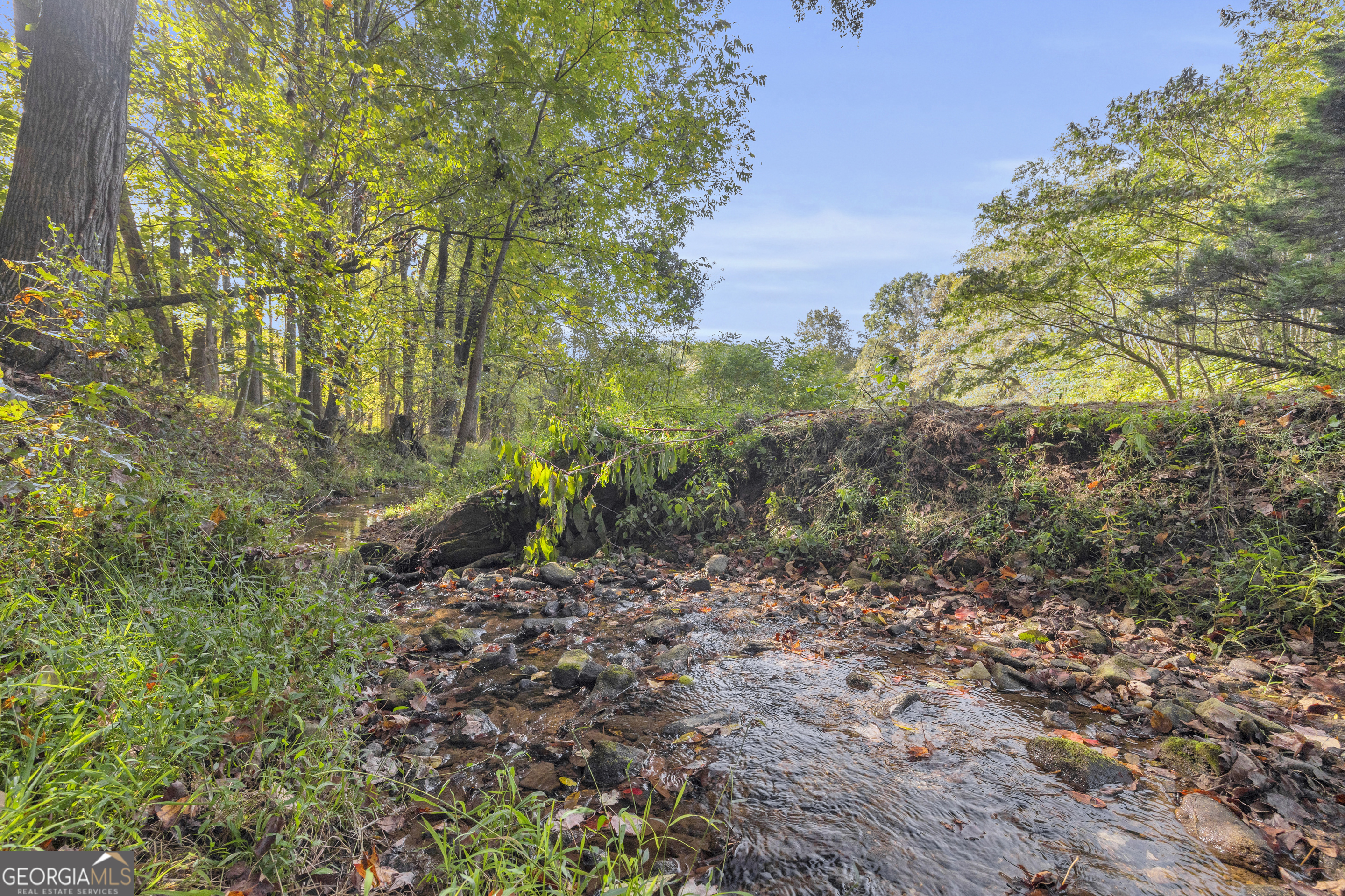 438 Turner Road Cleveland, GA 30528 - Photo 89 of 118