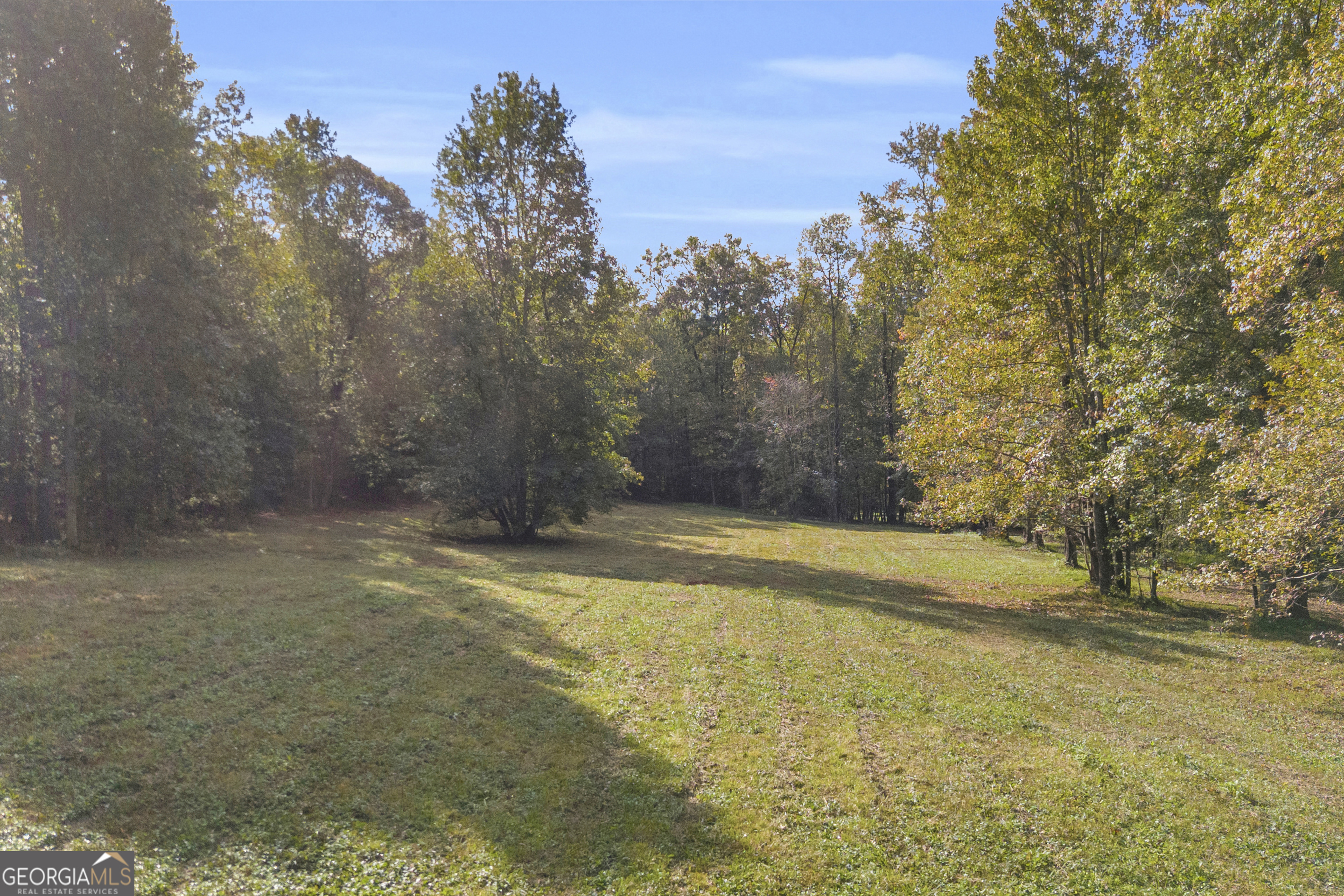 438 Turner Road Cleveland, GA 30528 - Photo 9 of 118