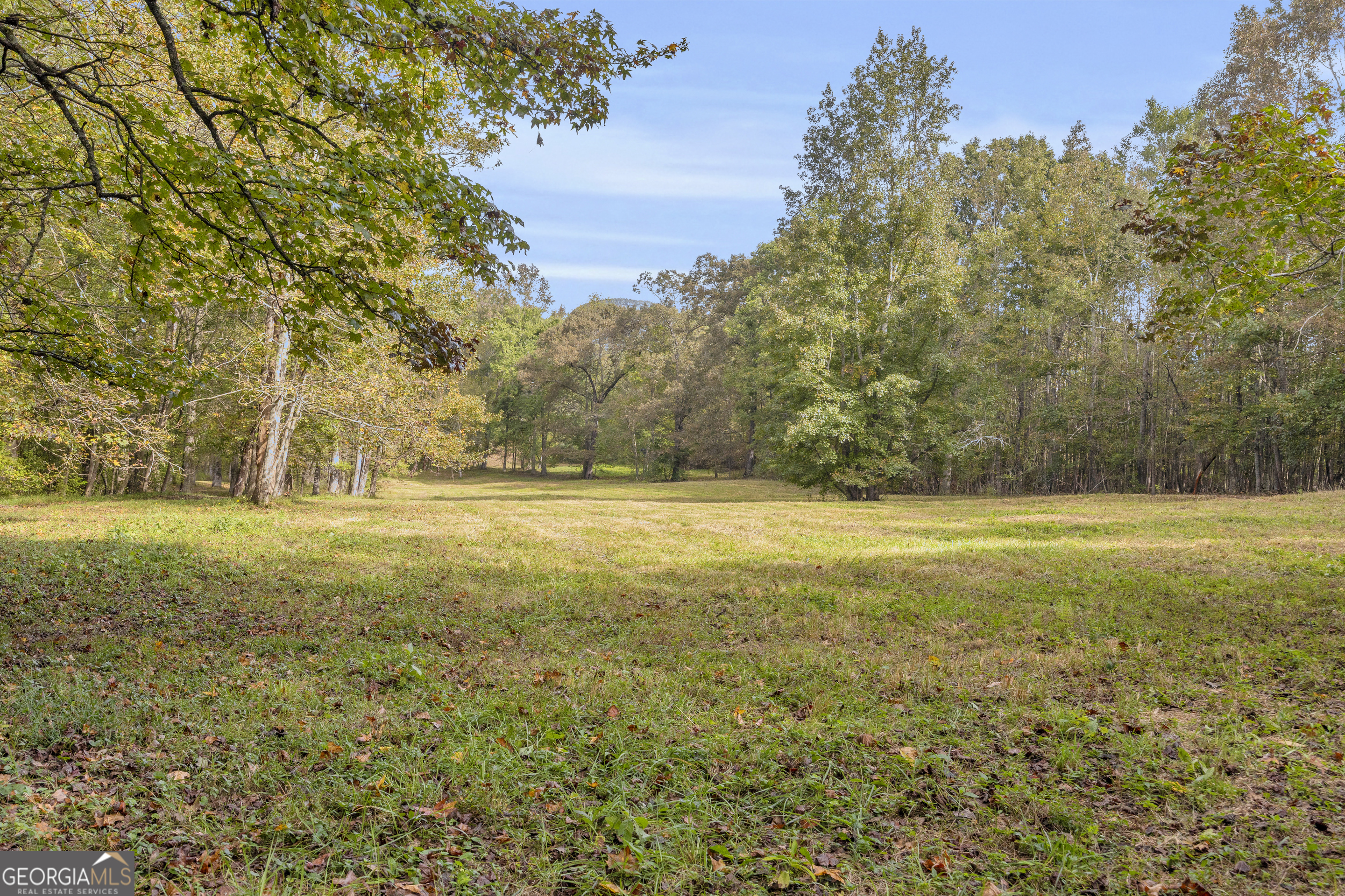438 Turner Road Cleveland, GA 30528 - Photo 92 of 118