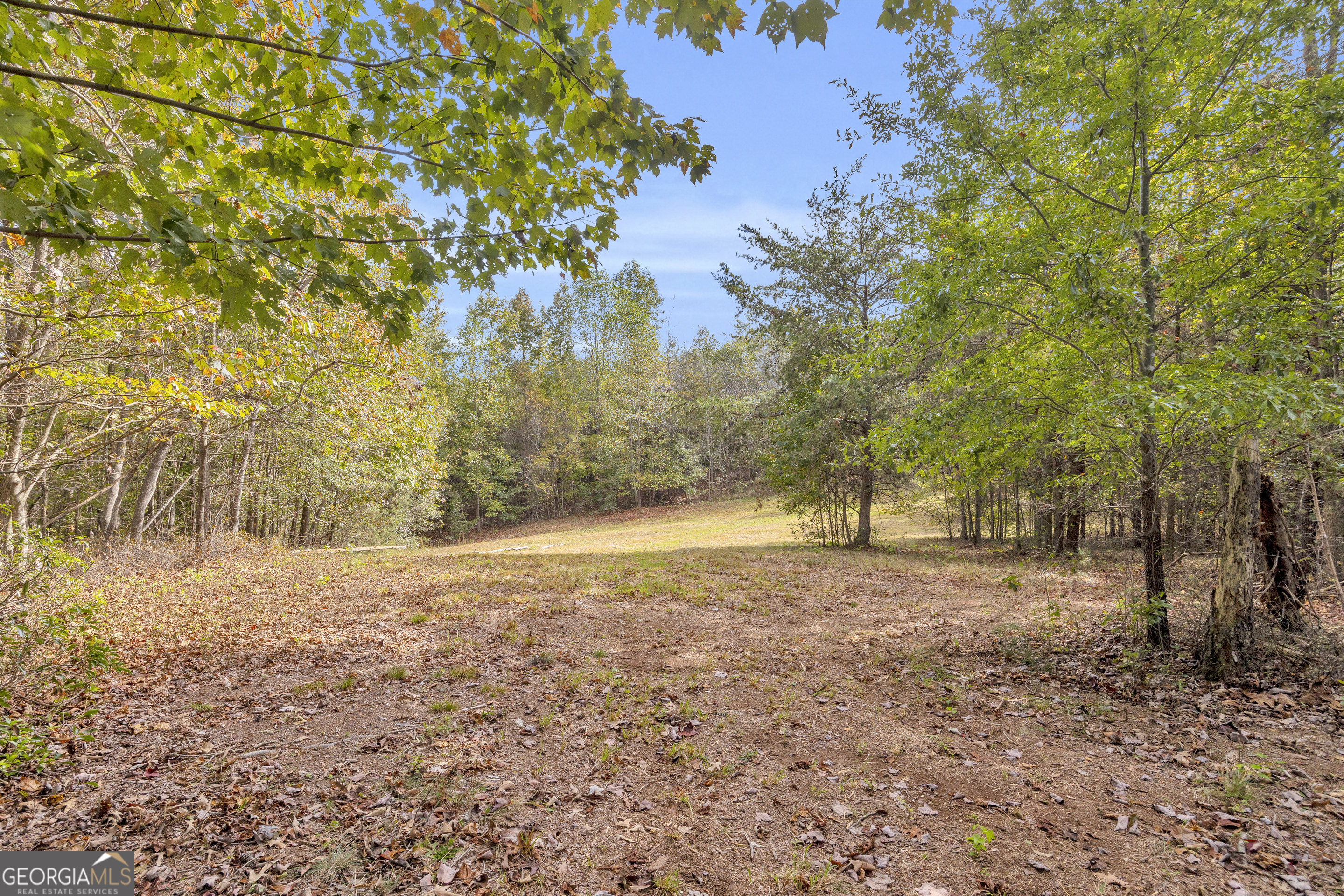 438 Turner Road Cleveland, GA 30528 - Photo 96 of 118