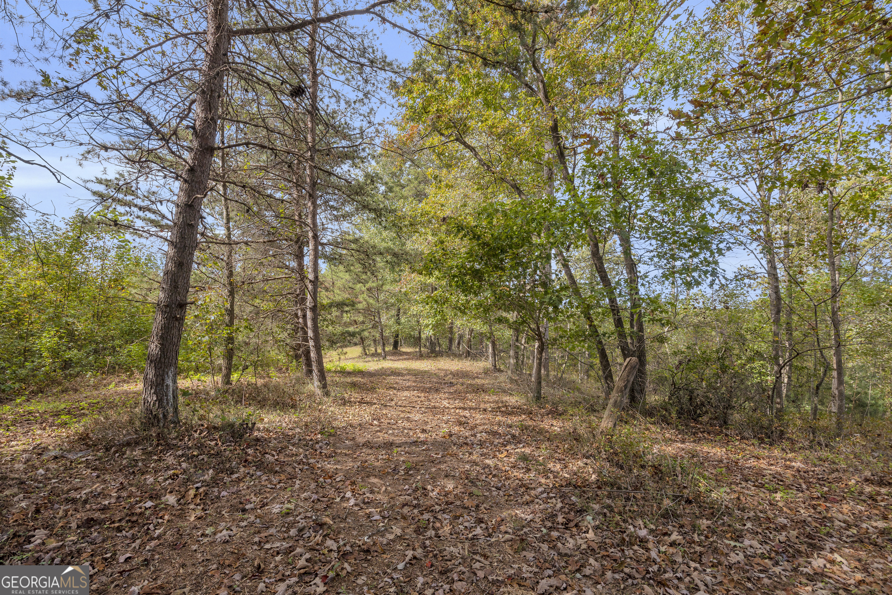 438 Turner Road Cleveland, GA 30528 - Photo 97 of 118