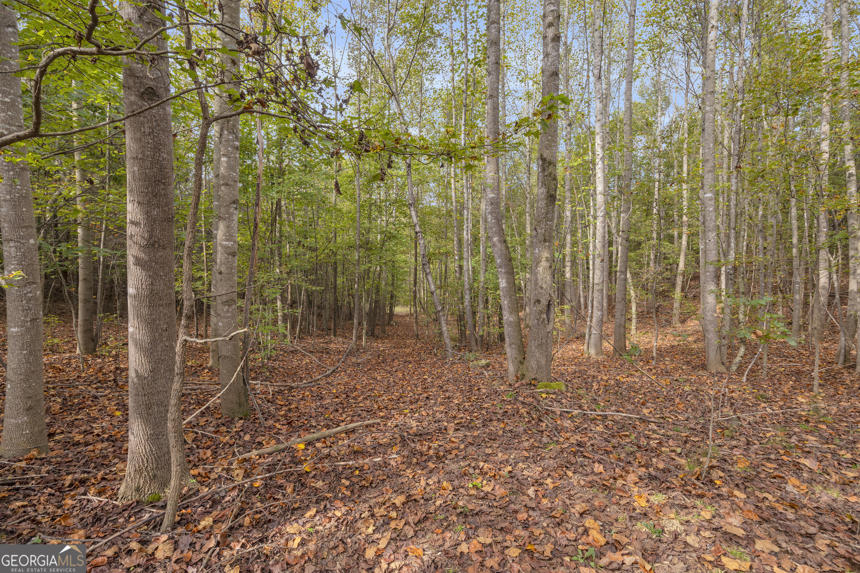 438 Turner Road Cleveland, GA 30528 - Photo 98 of 118