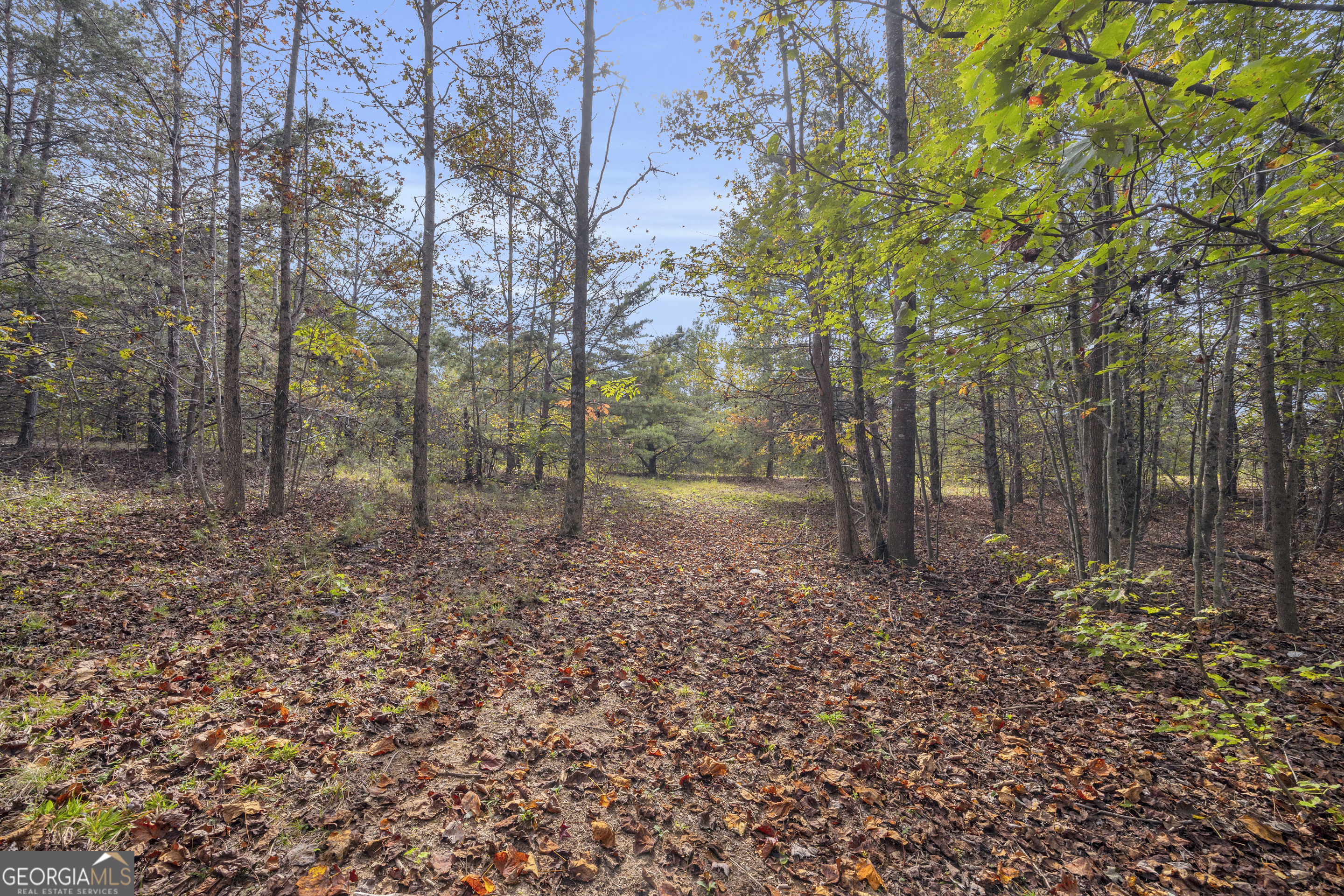 438 Turner Road Cleveland, GA 30528 - Photo 99 of 118