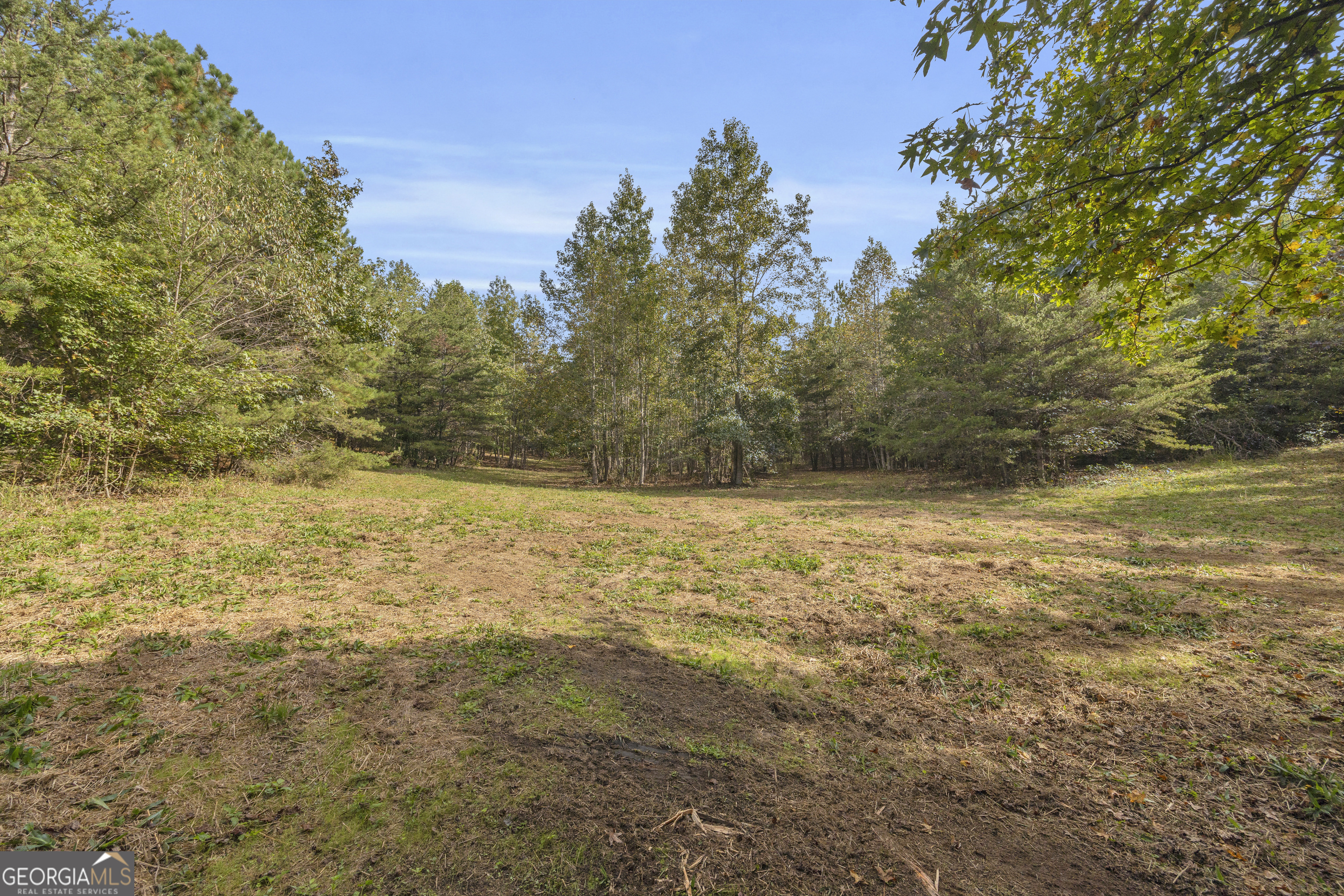 438 Turner Road Cleveland, GA 30528 - Photo 100 of 118