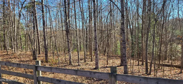 $85,900 | Lot#170 Saddle Drive, Jamestown, TN 38556