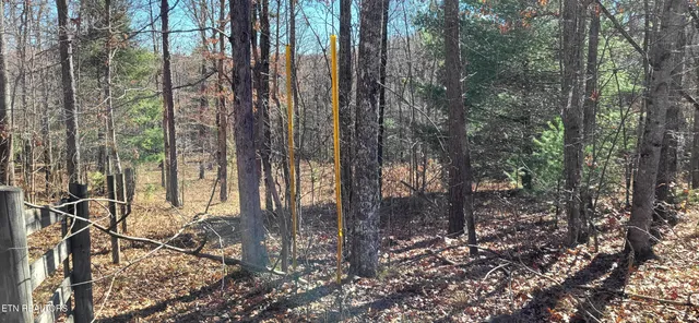 $85,900 | Lot#170 Saddle Drive, Jamestown, TN 38556