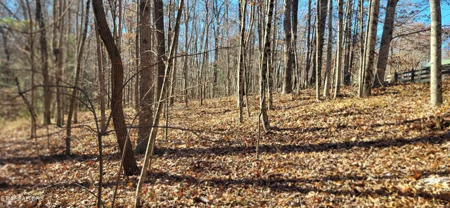 $85,900 | Lot#170 Saddle Drive, Jamestown, TN 38556