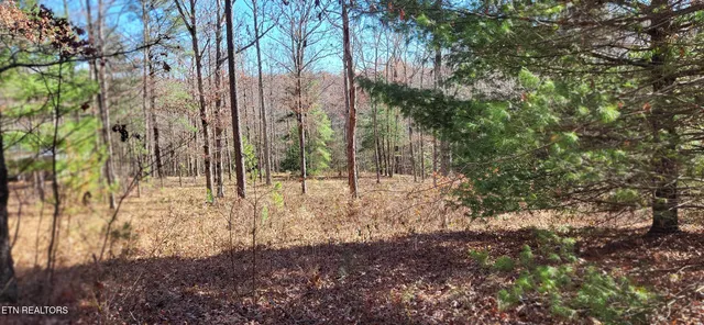 $85,900 | Lot#170 Saddle Drive, Jamestown, TN 38556