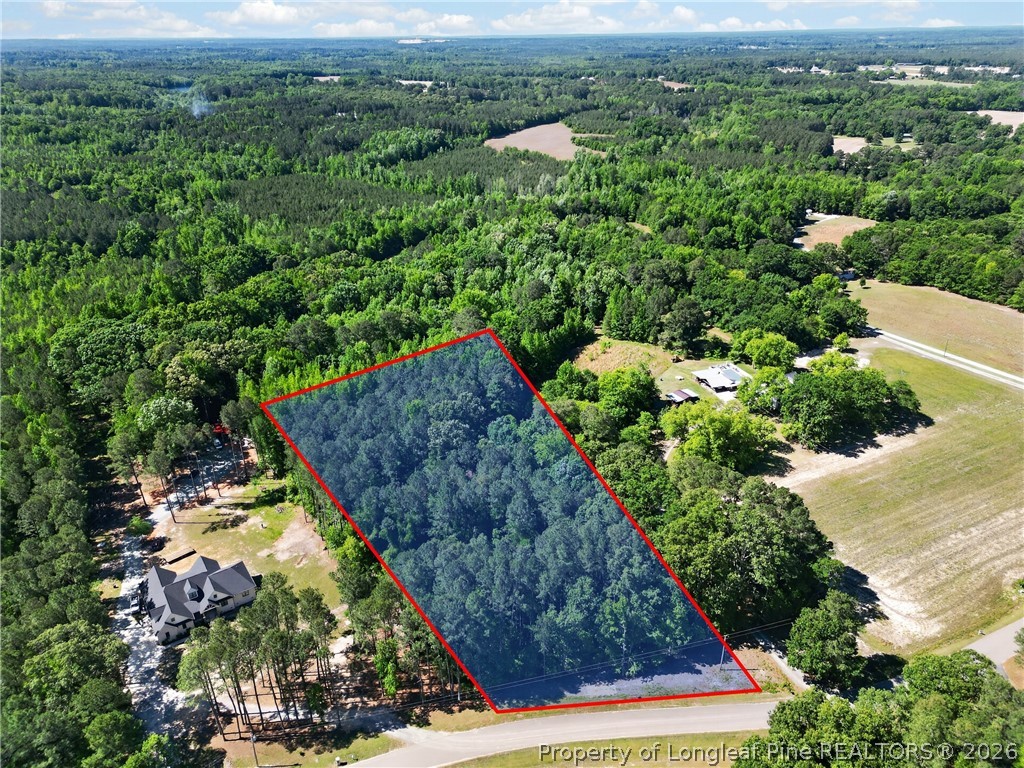 0 Fred Stone Road Sanford, NC 27332 - Photo 1 of 10