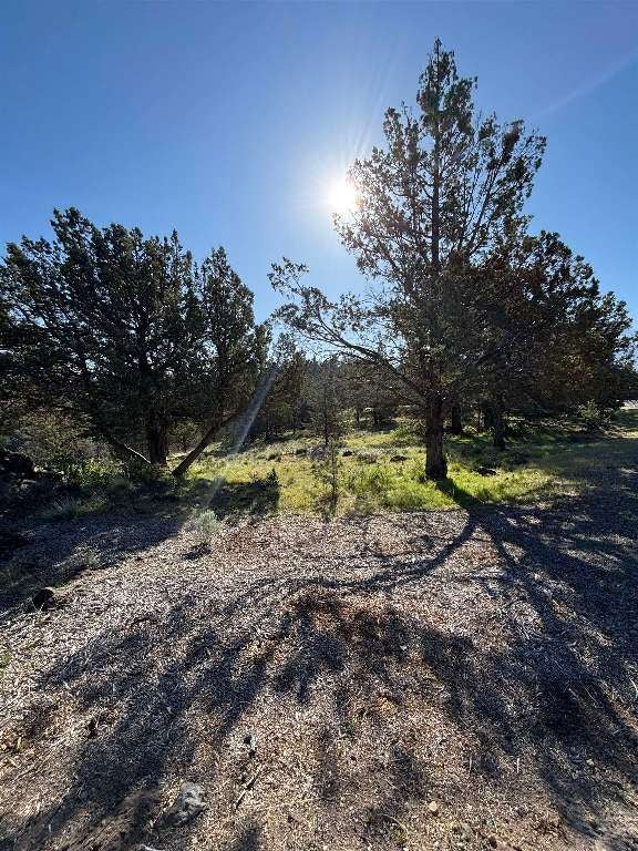 Unit 9-2 Lot 182 Elkridge Road Weed, CA 96094 - Photo 5 of 19 Gallery Image 5