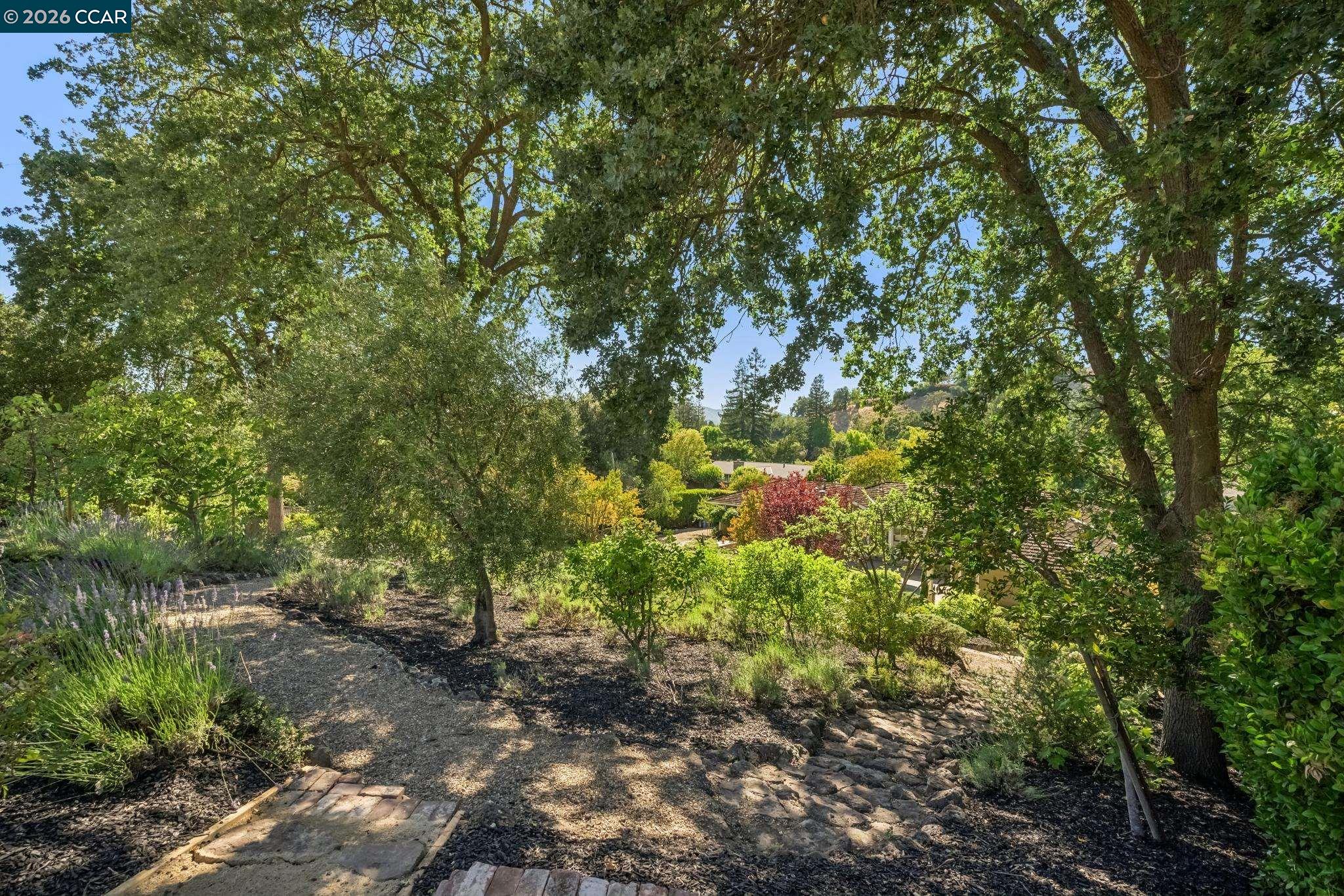 3211 Stone Valley Road Alamo, CA 94507 - Photo 79 of 90