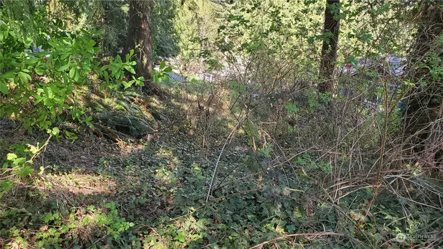 $50,000 | 750 W Road, Sedro-Woolley, WA 98284