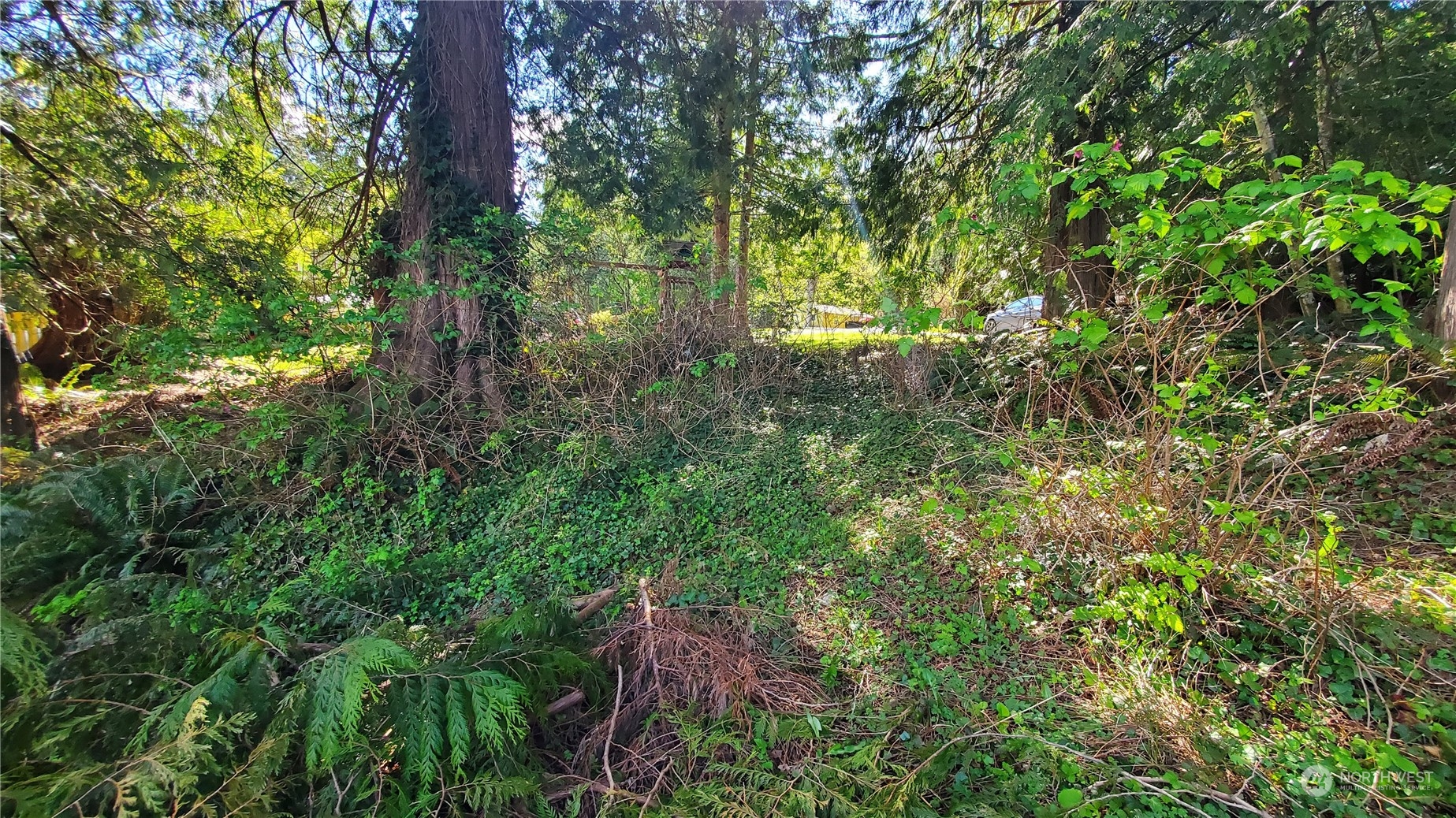 750 W Road Sedro-Woolley, WA 98284 - Photo 12 of 14