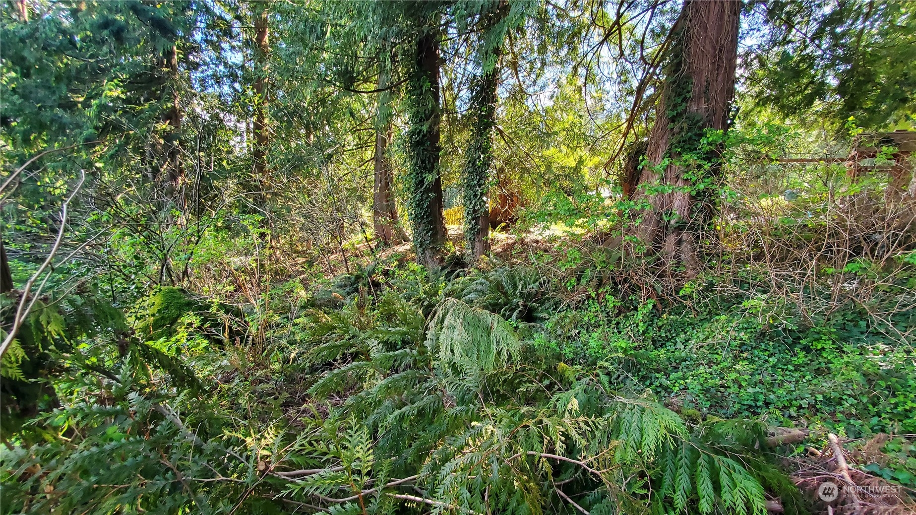 750 W Road Sedro-Woolley, WA 98284 - Photo 13 of 14