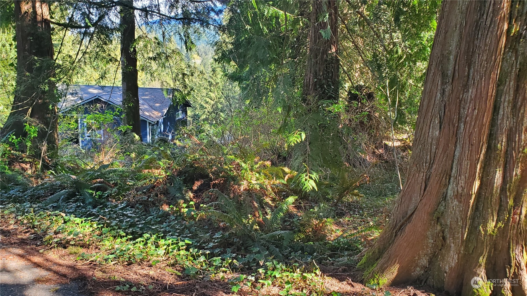 750 W Road Sedro-Woolley, WA 98284 - Photo 4 of 14