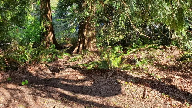 $50,000 | 750 W Road, Sedro-Woolley, WA 98284