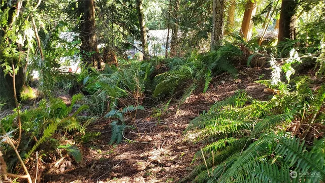 $50,000 | 750 W Road, Sedro-Woolley, WA 98284