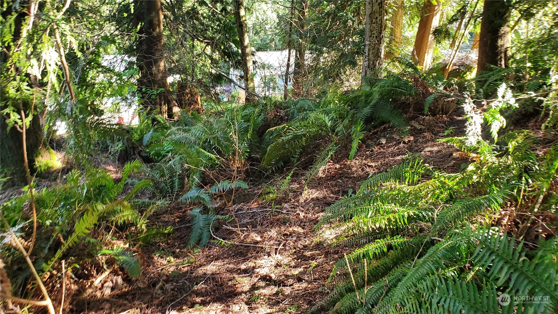 750 W Road Sedro-Woolley, WA 98284 - Photo 7 of 14