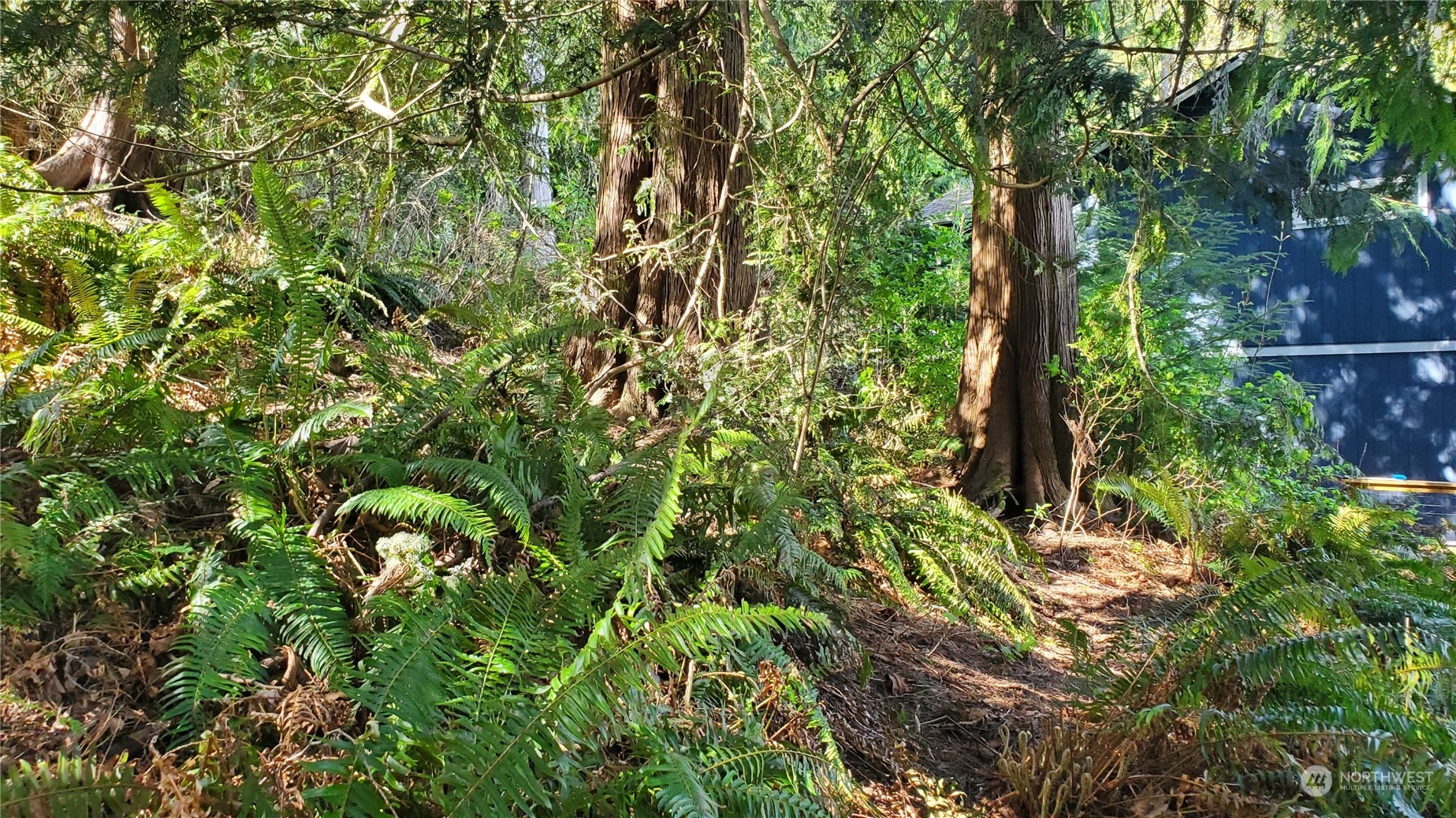 750 W Road Sedro-Woolley, WA 98284 - Photo 8 of 14