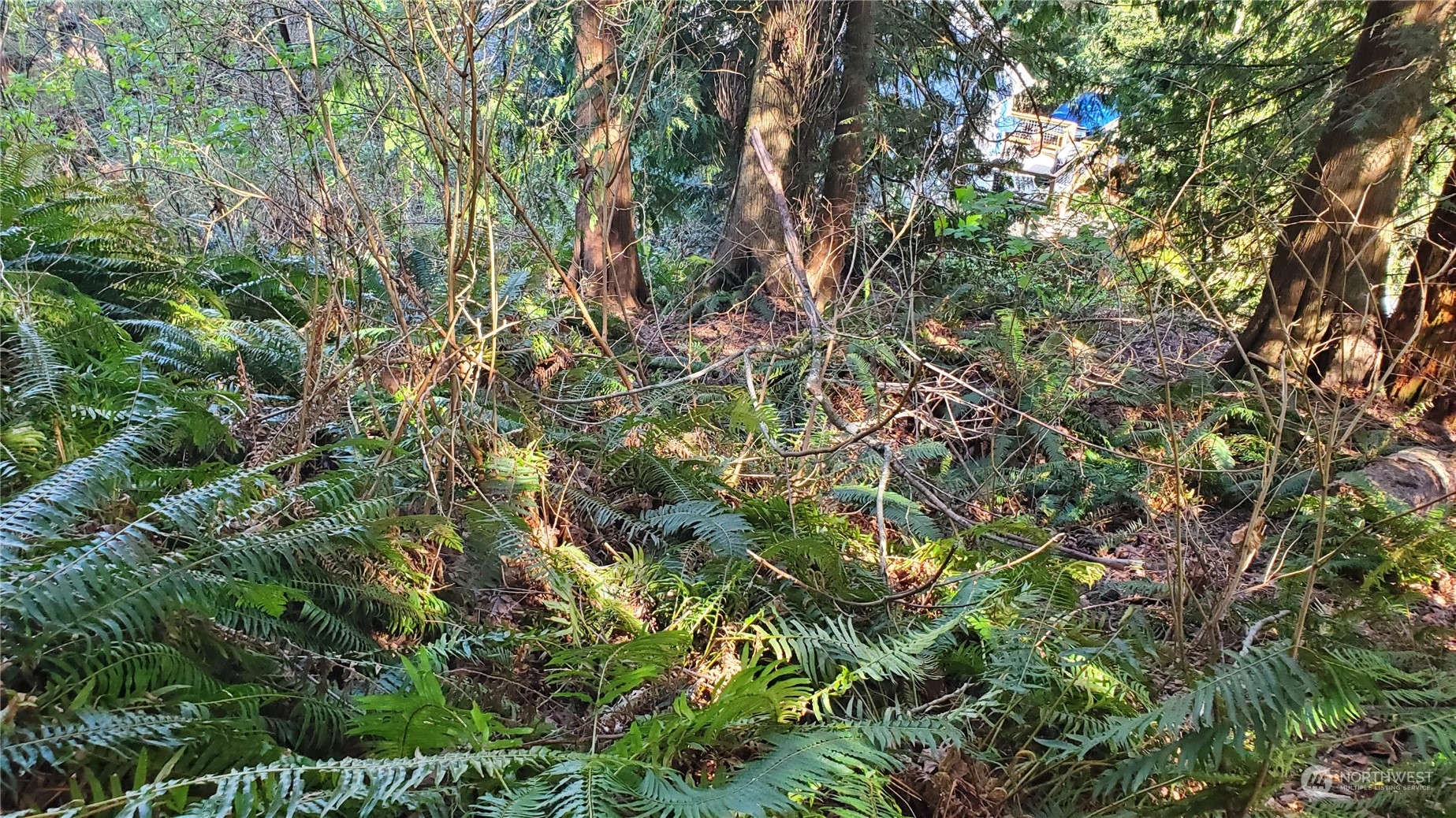 750 W Road Sedro-Woolley, WA 98284 - Photo 9 of 14