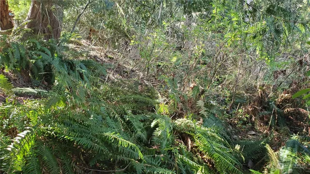 $50,000 | 750 W Road, Sedro-Woolley, WA 98284