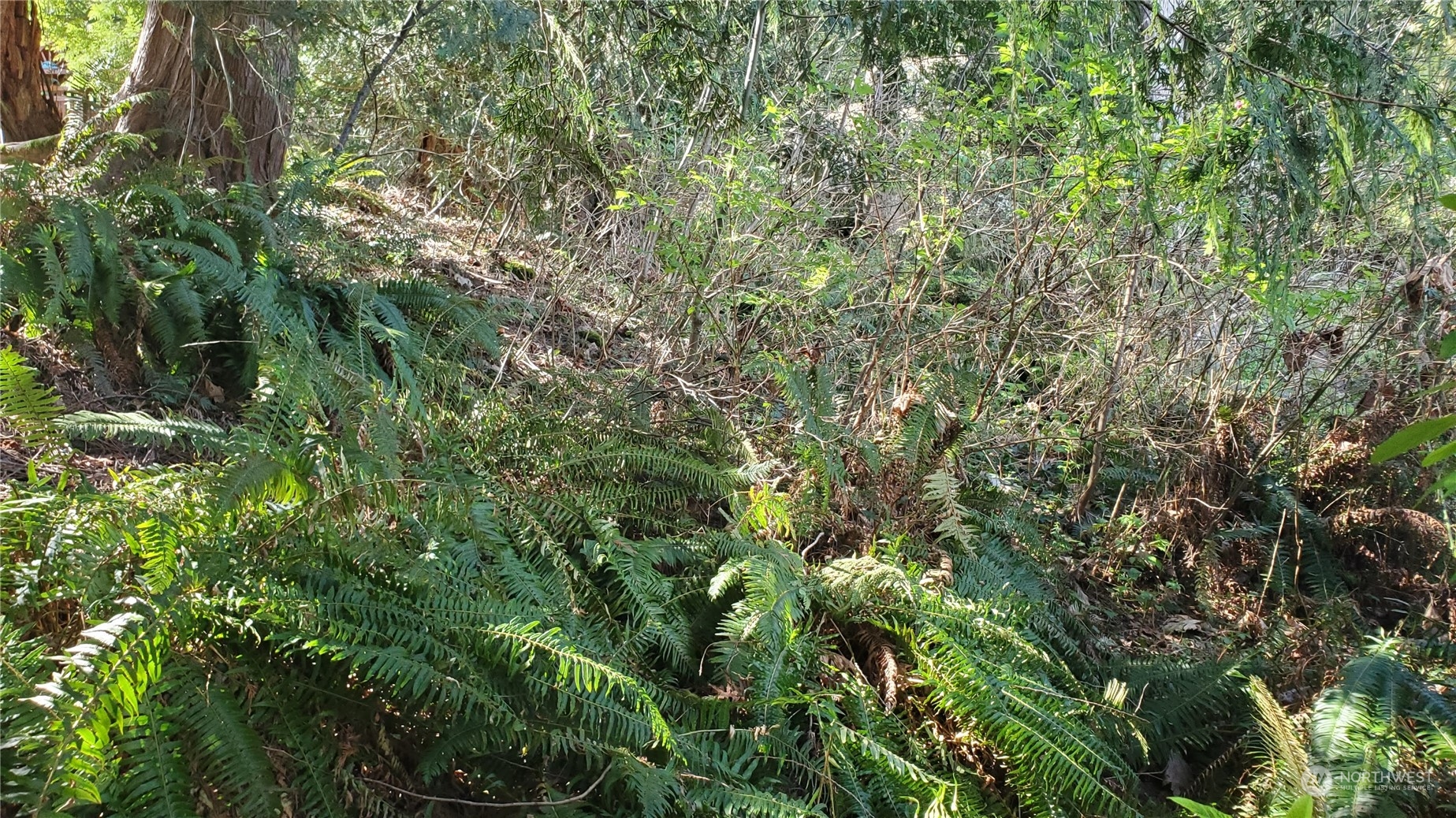 750 W Road Sedro-Woolley, WA 98284 - Photo 10 of 14