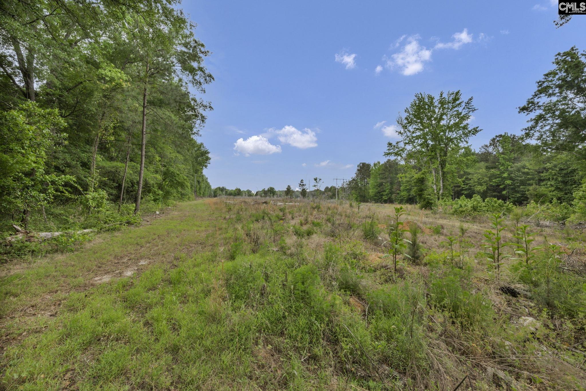1244 Weston Road Hopkins, SC 29061 - Photo 65 of 67
