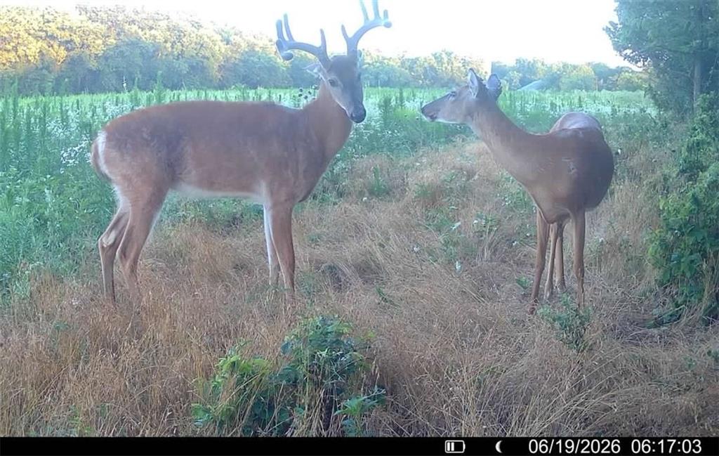 2087 South 1600th Road Wilsey, KS 66873 - Photo 54 of 56
