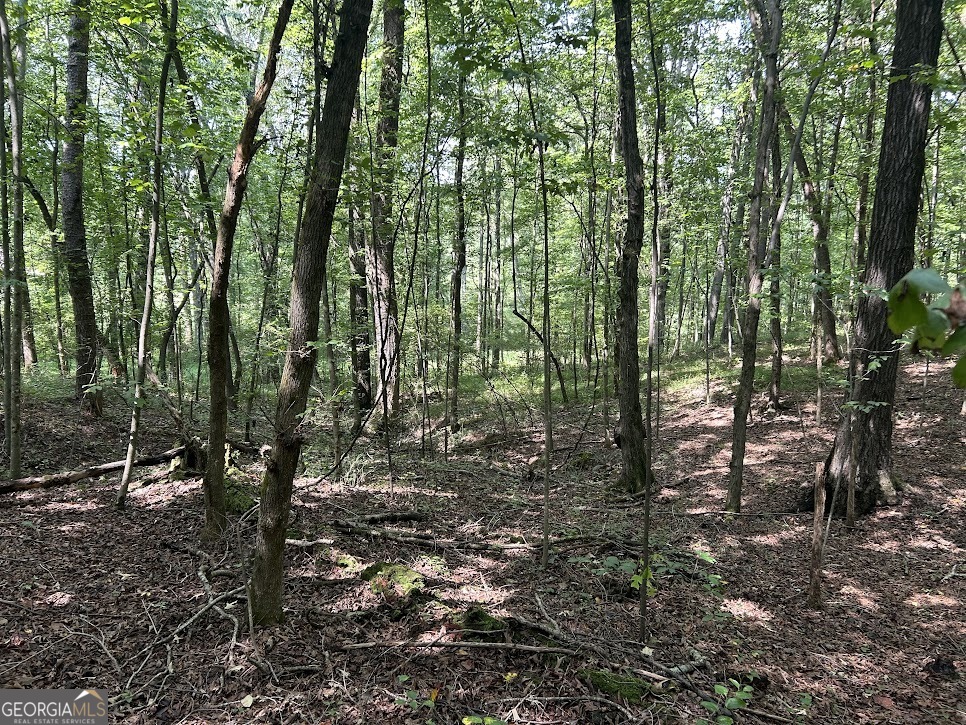 Tract 2 Attaway Road, Unit TRACT 4 59 ACRES Bowdon, GA 30108 - Photo 11 of 23 a view of outdoor space and trees