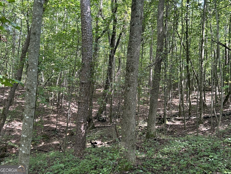 Tract 2 Attaway Road, Unit TRACT 4 59 ACRES Bowdon, GA 30108 - Photo 12 of 23 a view of forest