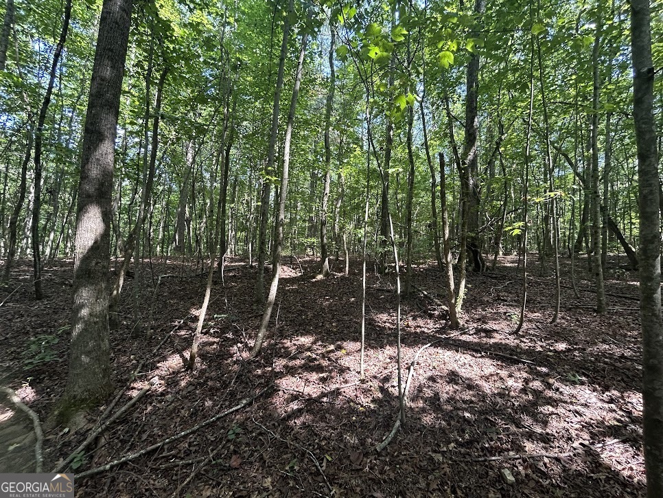 Tract 2 Attaway Road, Unit TRACT 4 59 ACRES Bowdon, GA 30108 - Photo 13 of 23 a view of a forest filled with trees