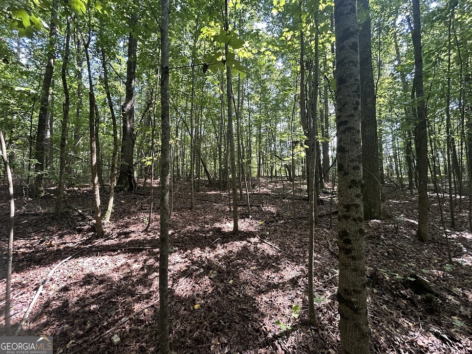 Tract 2 Attaway Road, Unit TRACT 4 59 ACRES Bowdon, GA 30108 - Photo 14 of 23 a view of a forest with trees