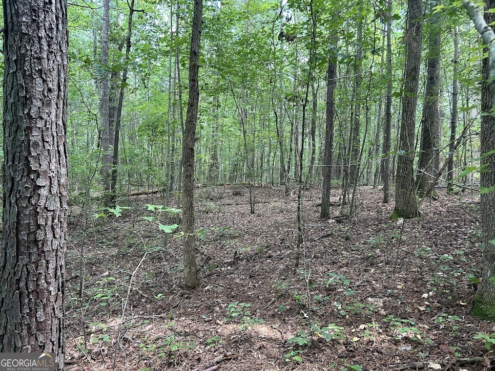 Tract 2 Attaway Road, Unit TRACT 4 59 ACRES Bowdon, GA 30108 - Photo 15 of 23 a view of outdoor space and green space
