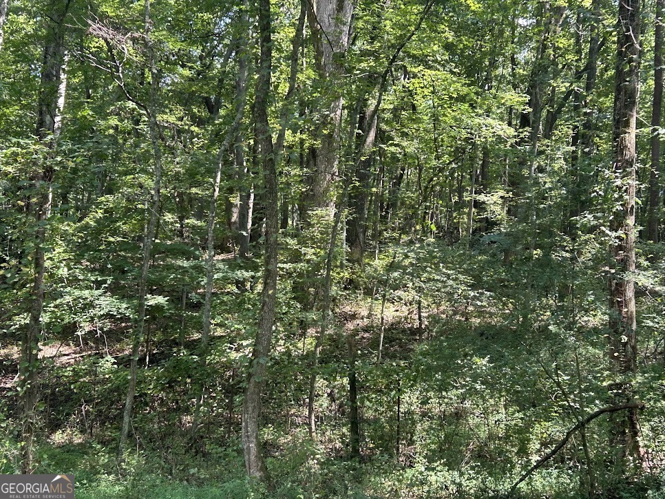 Tract 2 Attaway Road, Unit TRACT 4 59 ACRES Bowdon, GA 30108 - Photo 18 of 23