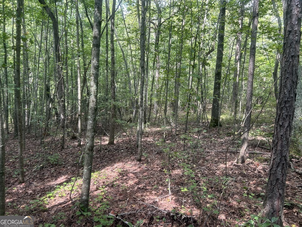 Tract 2 Attaway Road, Unit TRACT 4 59 ACRES Bowdon, GA 30108 - Photo 21 of 23 a view of outdoor space and green space