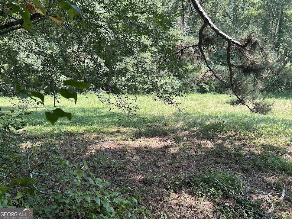 Tract 2 Attaway Road, Unit TRACT 4 59 ACRES Bowdon, GA 30108 - Photo 3 of 23 a backyard of a house with lots of green space