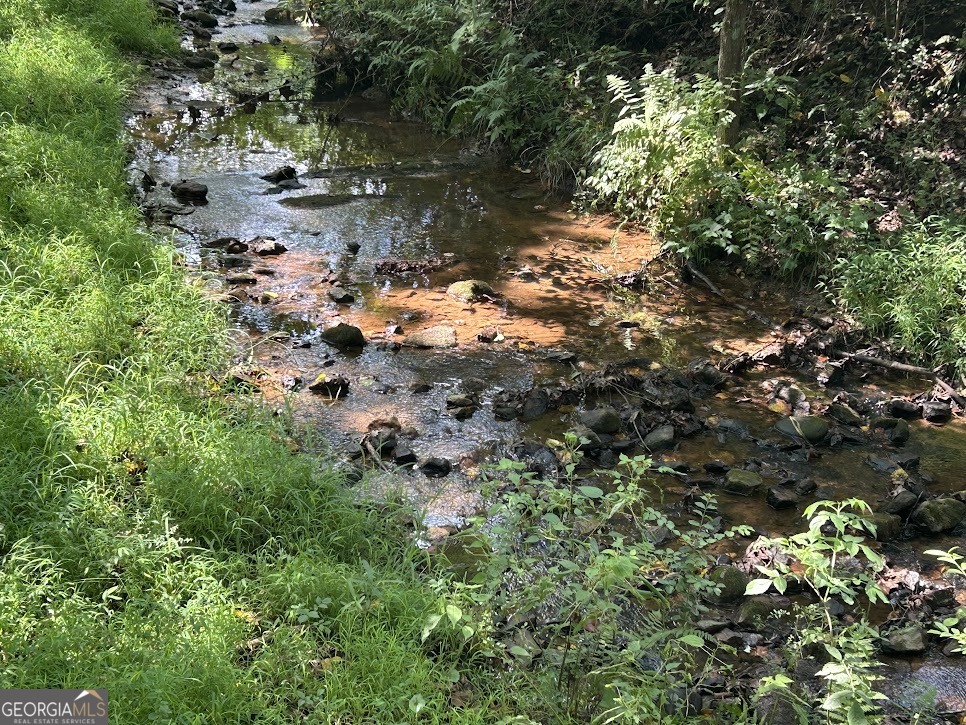 Tract 2 Attaway Road, Unit TRACT 4 59 ACRES Bowdon, GA 30108 - Photo 5 of 23 a view of a tree