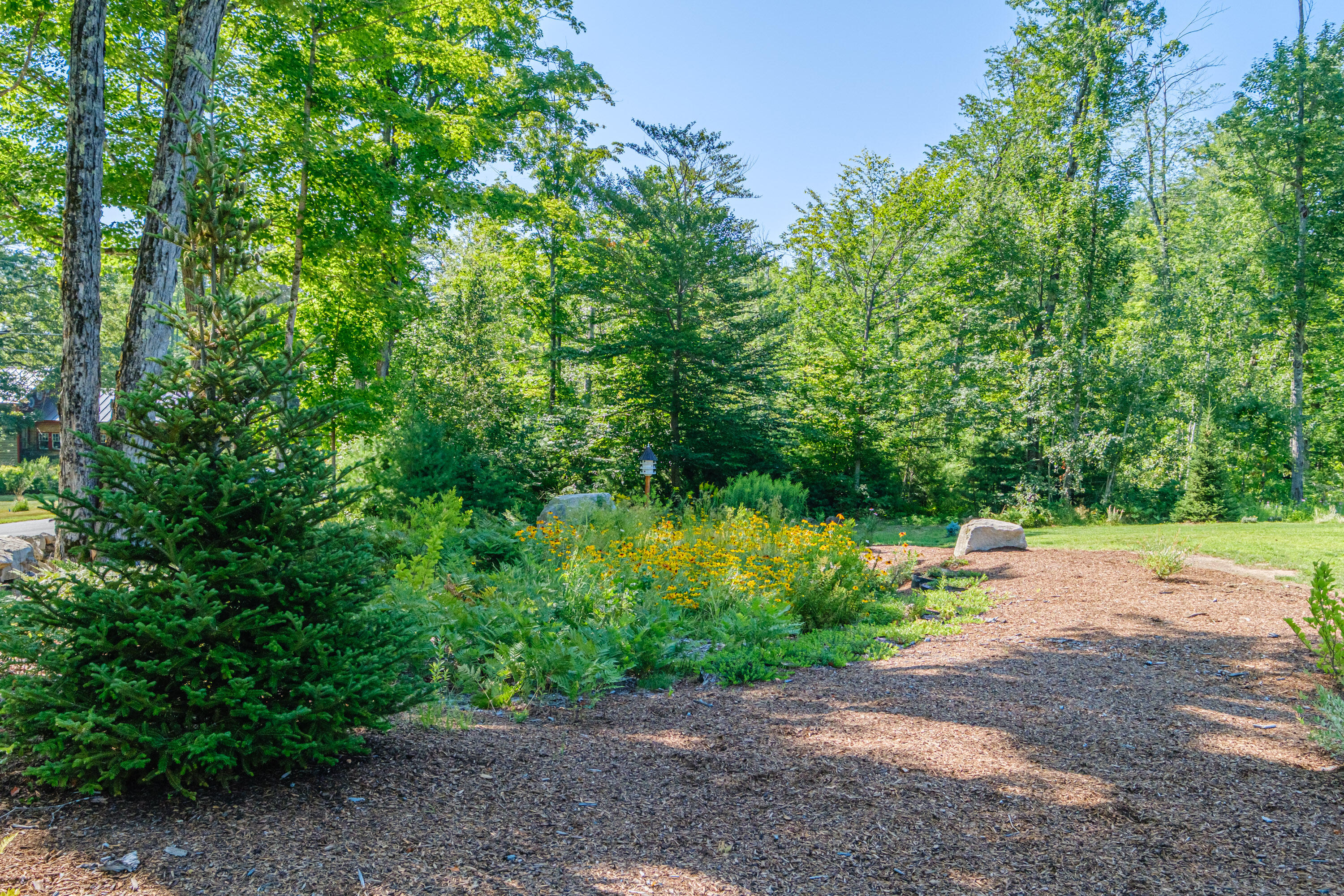 40 Old Elm Road Bridgton, ME 04009 - Photo 12 of 78 20250729gp-60039