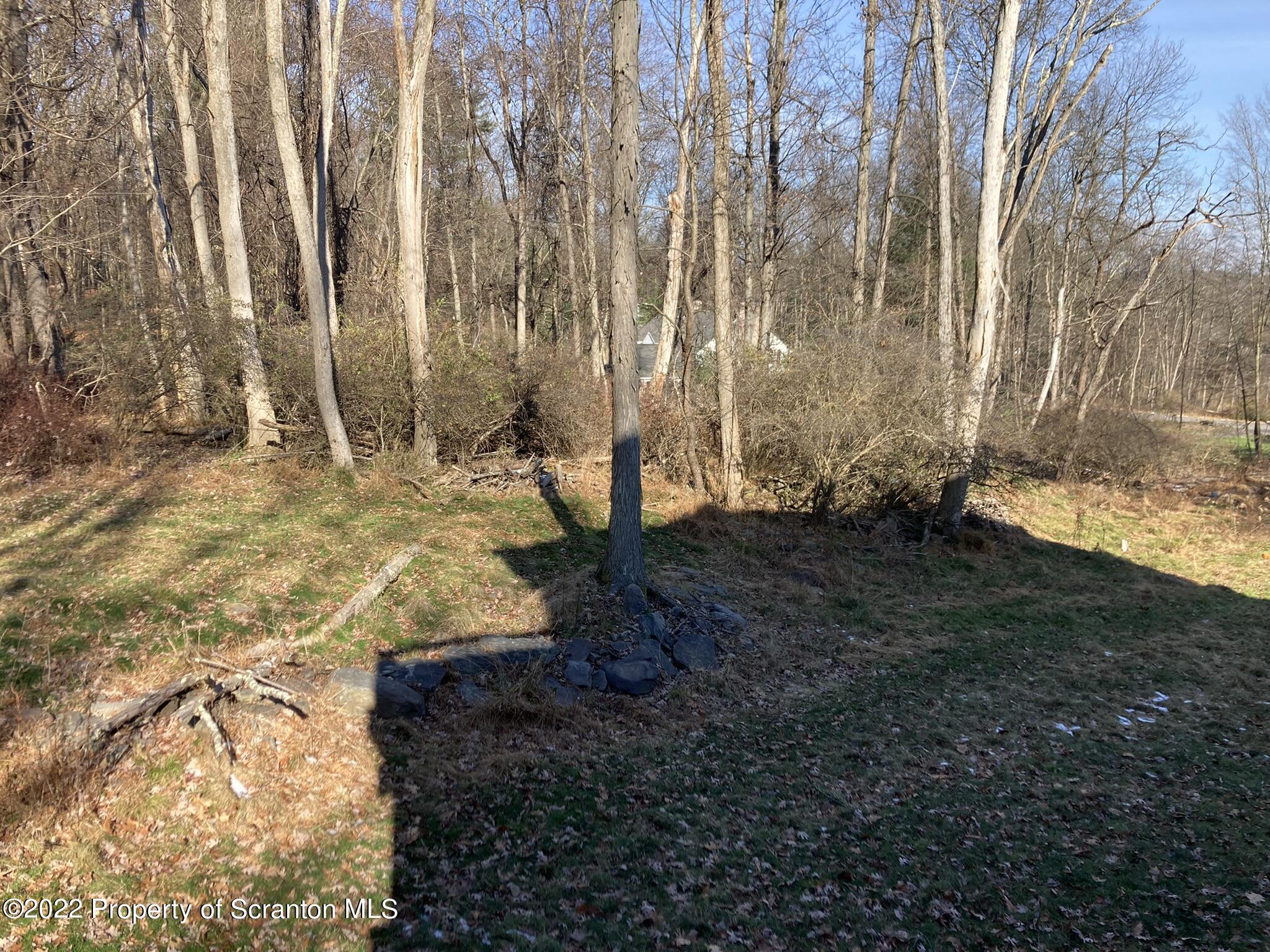 129 Wellington Road Shavertown, PA 18708 - Photo 12 of 16 a view of yard