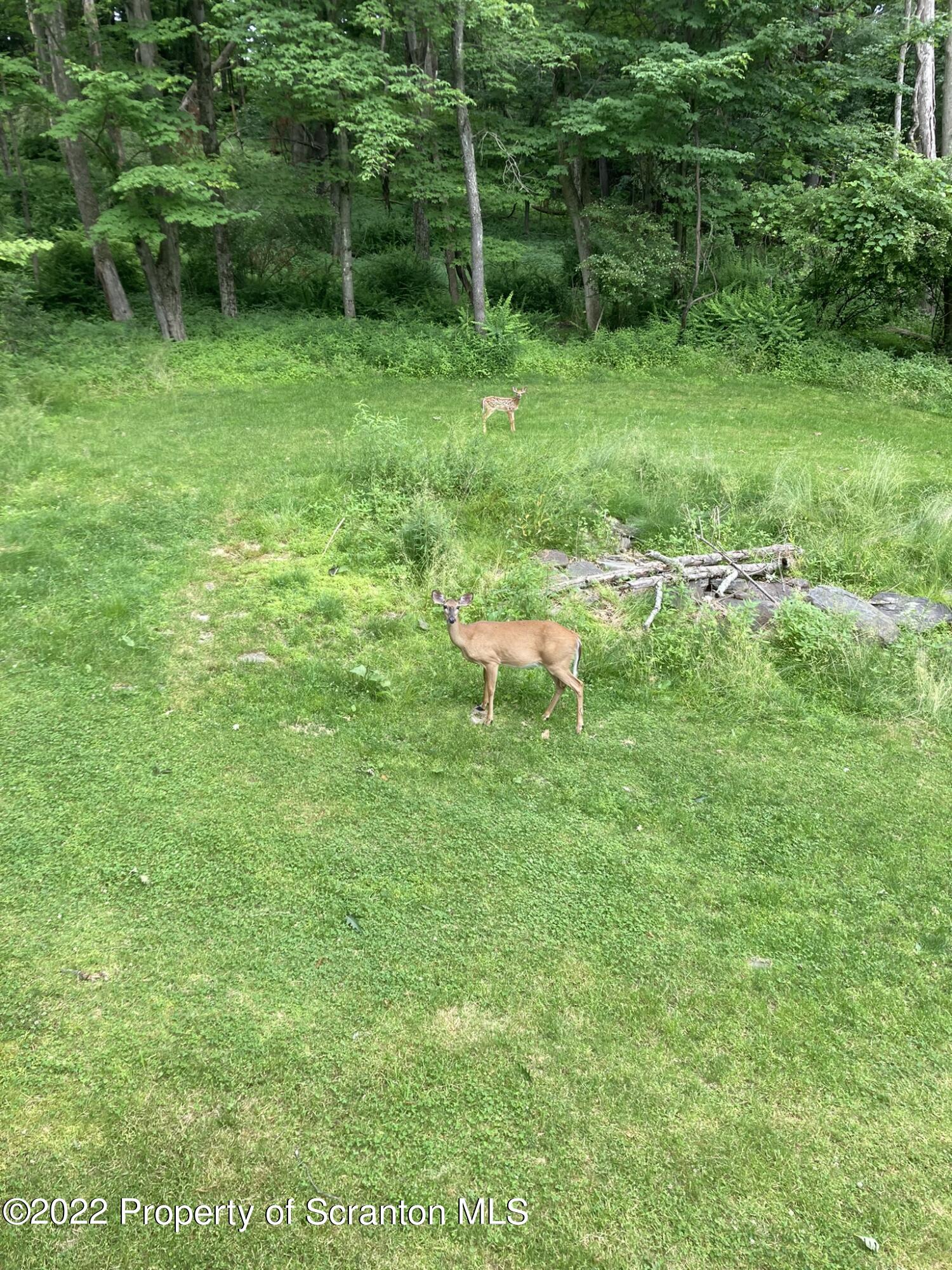 129 Wellington Road Shavertown, PA 18708 - Photo 13 of 16 a view of a backyard with table and chairs