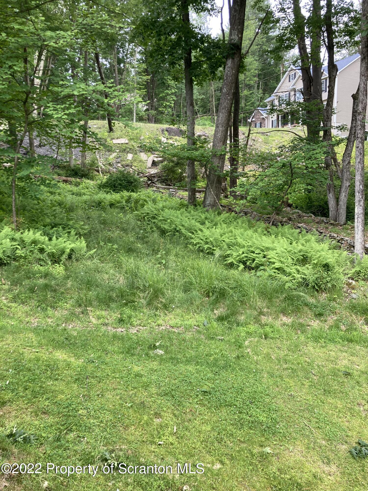 129 Wellington Road Shavertown, PA 18708 - Photo 14 of 16 a view of outdoor space with a garden and trees
