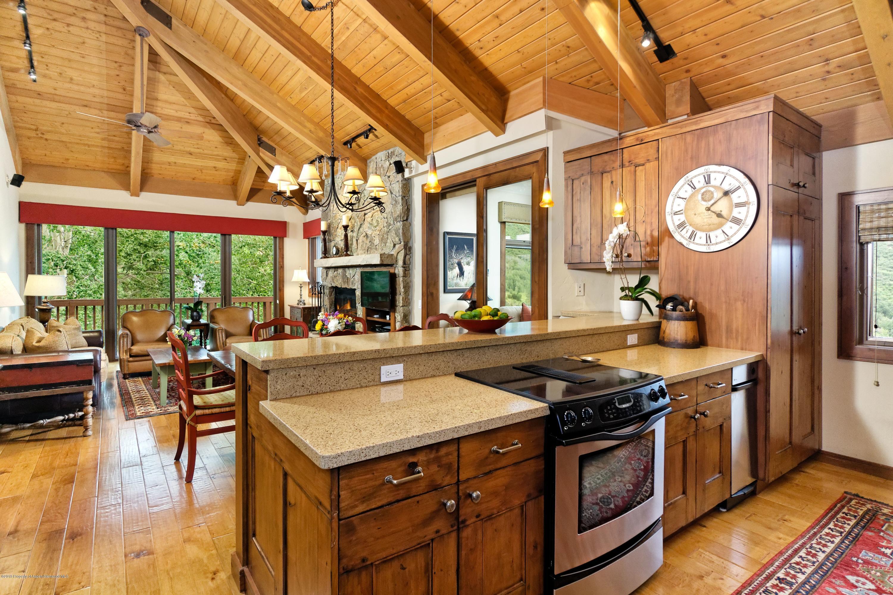 800 Ridge Road, Unit 14 Snowmass Village, CO 81615 - Photo 3 of 21 kitchen dining living