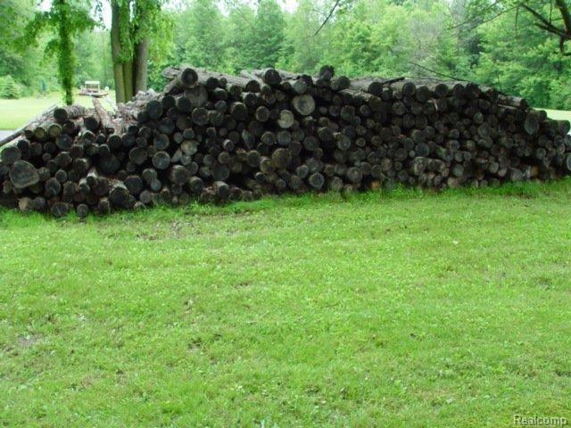 6377 Lozon Road Marine City, MI 48039 - Photo 10 of 10 Firewood