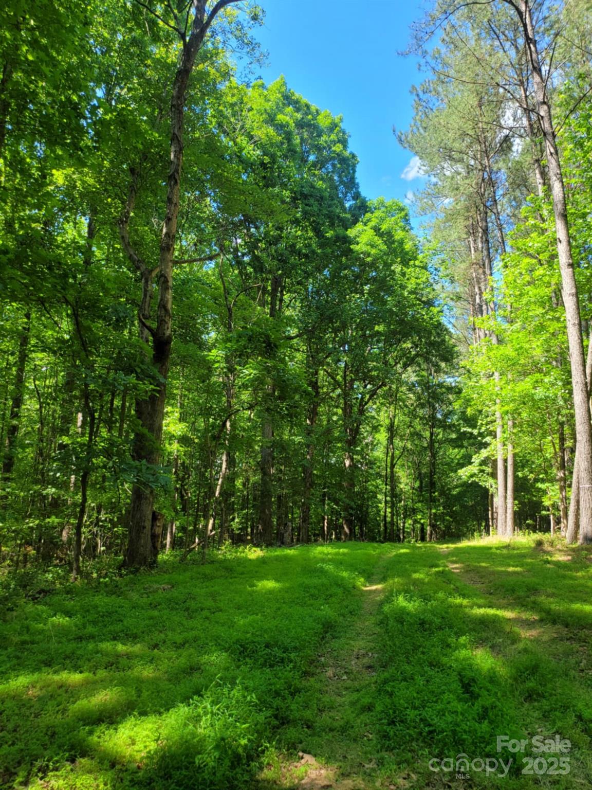 0 Millingport Road, Unit 1 Albemarle, NC 28001 - Photo 11 of 18