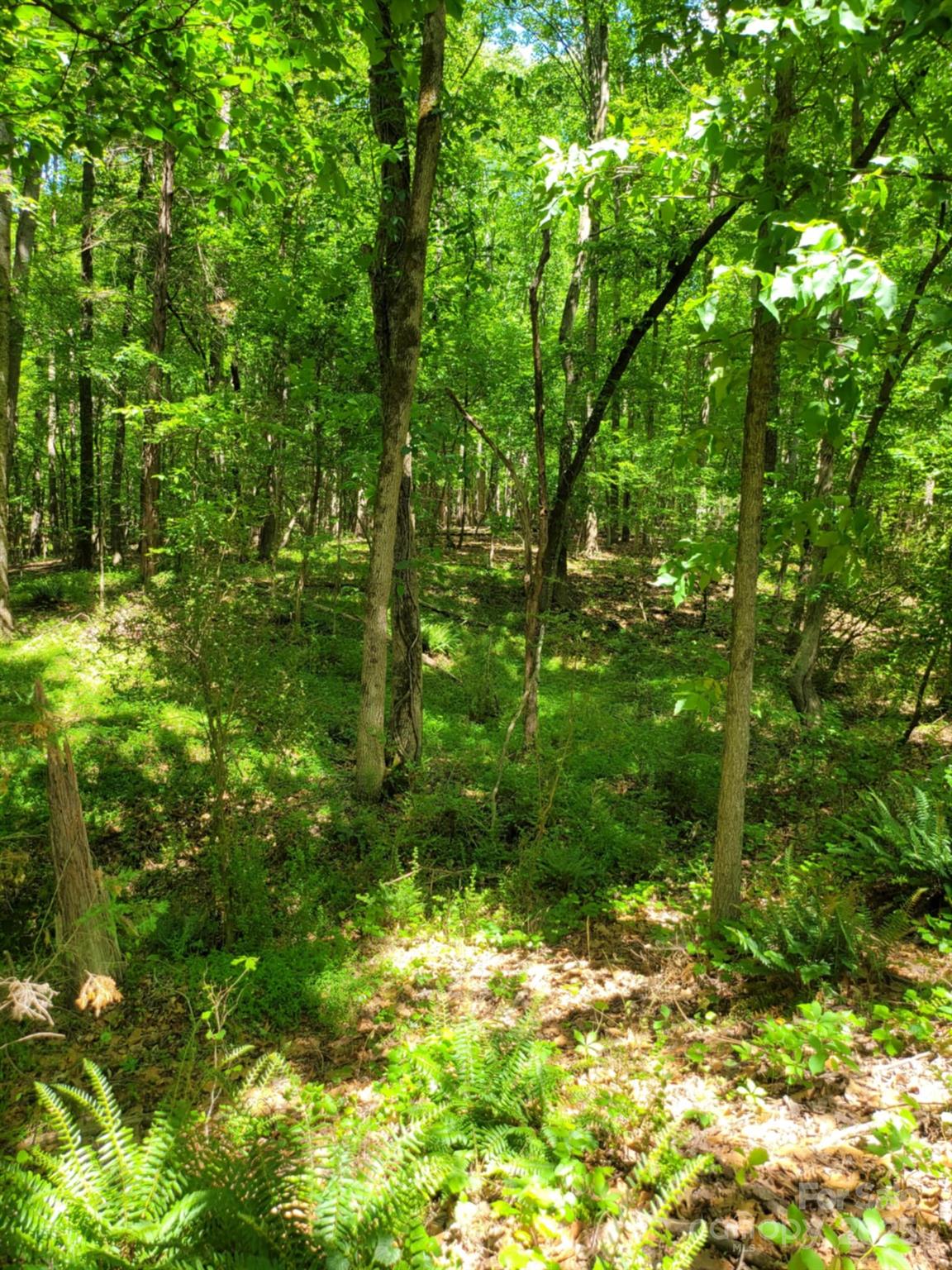 0 Millingport Road, Unit 1 Albemarle, NC 28001 - Photo 2 of 18
