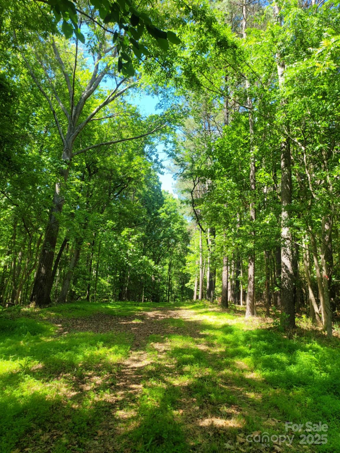 0 Millingport Road, Unit 1 Albemarle, NC 28001 - Photo 5 of 18