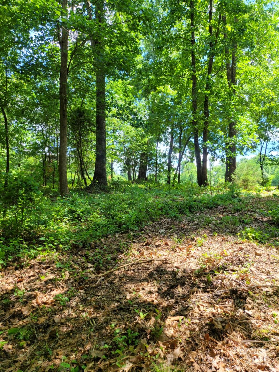 0 Millingport Road, Unit 1 Albemarle, NC 28001 - Photo 6 of 18