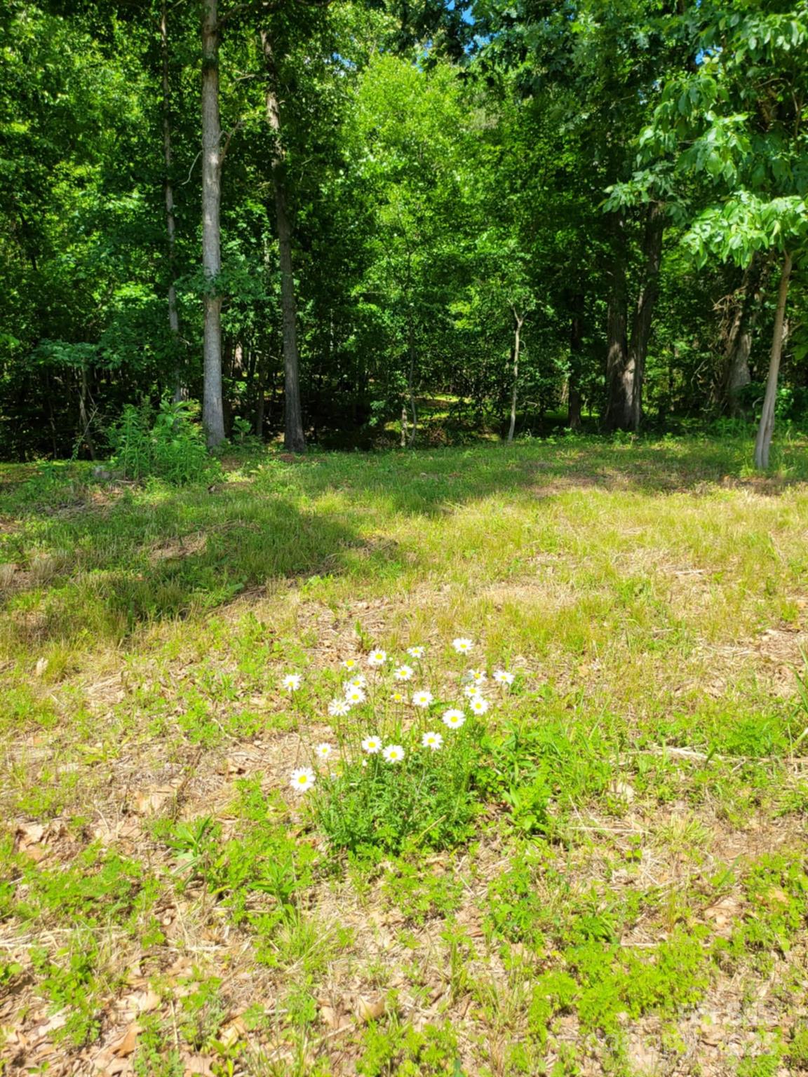 0 Millingport Road, Unit 1 Albemarle, NC 28001 - Photo 9 of 18