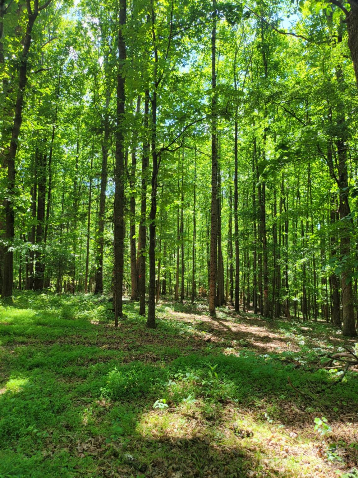 0 Millingport Road, Unit 1 Albemarle, NC 28001 - Photo 10 of 18